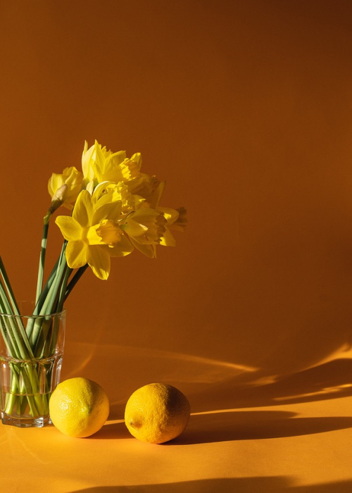 Luxury Scented Candles